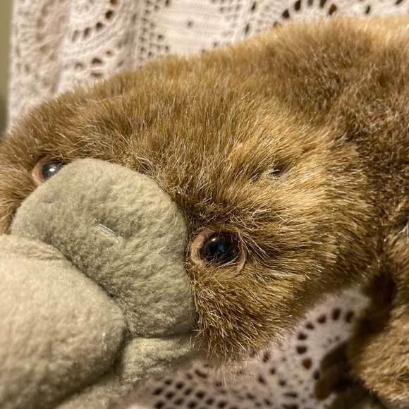 Realistic Platypus Stuffed Animal Plush Toy - Picture 5 of 16